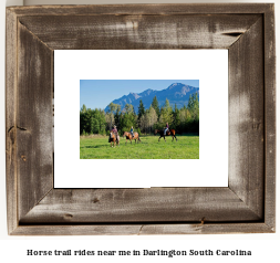 horse trail rides near me in Darlington, South Carolina